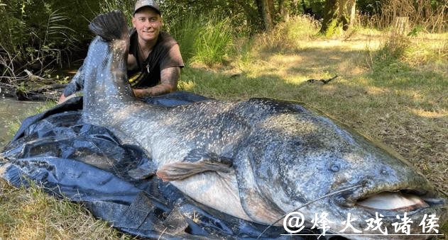 男子夜潜12米深水库,偶遇巨型鲶鱼,鱼嘴比人头都宽!网友:这鱼会吃小孩! 男子夜潜12米深水库,偶遇巨型鲶鱼,鱼嘴比人头都宽!网友:这鱼会吃小孩!